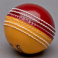 Image result for Cricket for Kids