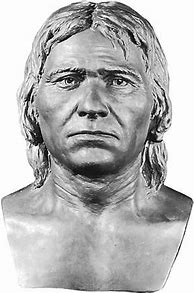 Image result for Cro-Magnon Face