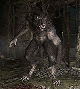 Image result for Werewolf Hunter Armor Skyrim SE
