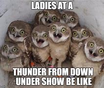 Image result for Thunder Down Under Meme