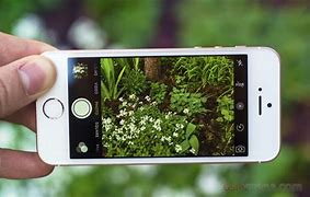 Image result for Picture Taken with iPhone SE 1st Gen