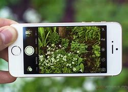 Image result for iPhone SE Camera Quality