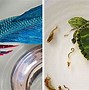 Image result for Layered Resin Painting