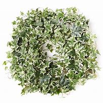 Image result for Artificial Ivy Wreath