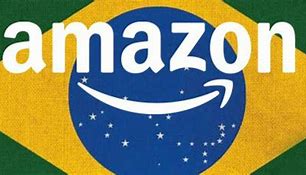 Image result for Amazon BR