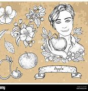 Image result for Symbol Apple of Fruit