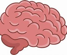 Image result for Brain Free Clip Art