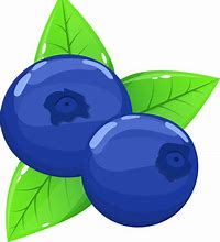 Image result for Berry ClipArt