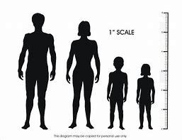 Image result for Human scale Figure