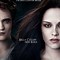 Image result for Twilight Breaking Dawn Book