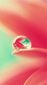 Image result for iPhone 6 Water Wallpaper