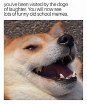 Image result for Doge Laugh Meme