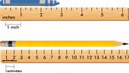 Image result for 12 Cm to Inches