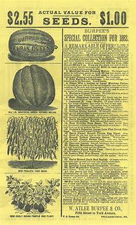 Image result for Burpee Seed Catalog