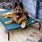 Image result for Outdoor Pet Bed