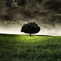 Image result for Nature Home Screen Dark