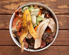 Image result for Compost Product