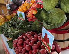 Image result for Consumers of Farm Produce