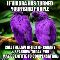 Image result for Attorney Memes