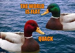 Image result for Crazy Duck Meme
