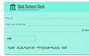 Image result for Printable Blank Business Check Template