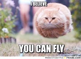 Image result for Encouraging Cat Meme