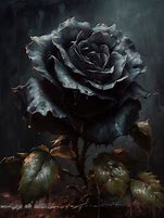 Image result for Black Rose Painting