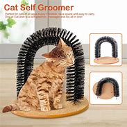 Image result for Cat Toys Tickle