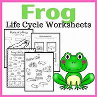 Image result for Frog Life Cycle Activity