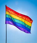 Image result for Rainbow Flag Jpg