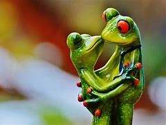 Image result for Frog Valentine