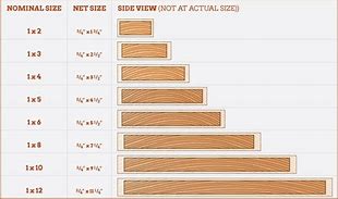 Image result for 2X3 Feet Actual Size