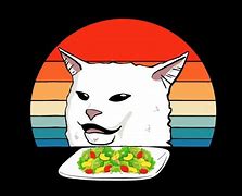 Image result for Reconsider Angry Cat Meme