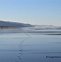 Image result for Manzanita Beach Oregon