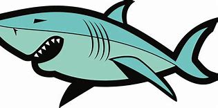 Image result for Shark Vector Art