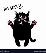Image result for Sorry Cat Face