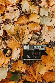 Image result for Camera Background Wallapper Aesthetic