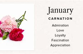 Image result for January Flower Month