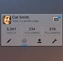 Image result for Twitter Profile