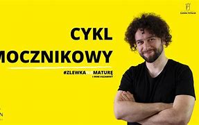 Image result for cykl_ornitynowy