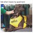 Image result for Nervous Dog Vest Meme