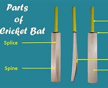 Image result for Cricket Bat Blade Parts