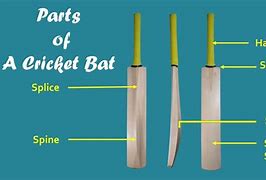 Image result for Cricket Bat Parts