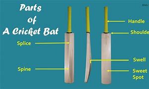 Image result for Cricket Bat Parts Vector