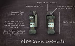 Image result for Grenade Stun E180mk3