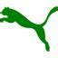 Image result for Green Puma Logo