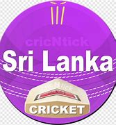 Image result for Bola Cricket Machine