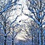 Image result for Winter Theme Background Vertical