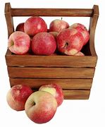 Image result for Apple in the Basket Without Background