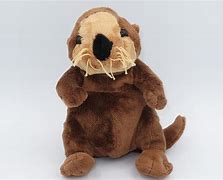 Image result for Webkinz Otter